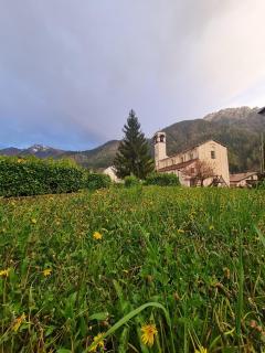 Apartamento Pino Verde in San Colombano VT Vista, Natura, Wifi - San Colombano - 3