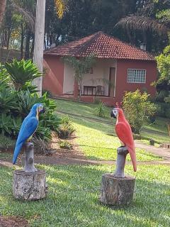 Pousada ENCANTO DA MATA - Ecológica - Caconde - 7