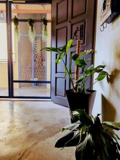 Wayton Cottage - George Town - 4