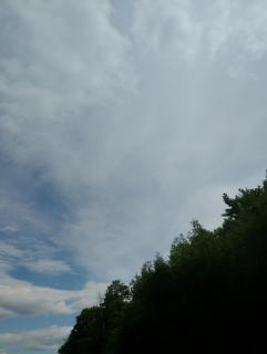 Perfect - Rove - 3