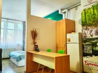 Comfort Apartments Timisoara - Timişoara - 0