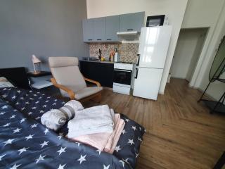 Metropolitan Apartment at Presidential Palace - Bratislava - 0
