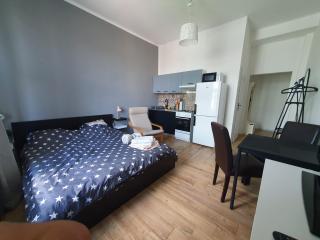 Metropolitan Apartment at Presidential Palace - Bratislava - 3