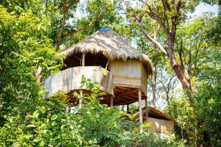 Kactus-Your Island Sanctuary On Koh Ta Kiev - Koh Ta kiev - 9