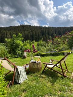 Black Forest Dream Apartments - Feldberg - 5