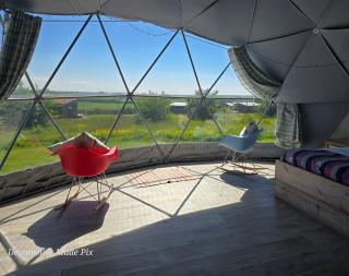 Koa Tree Dome - Welcombe - 3