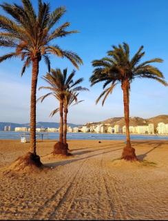 Cullera apartamento junto al mar - Cullera - 9