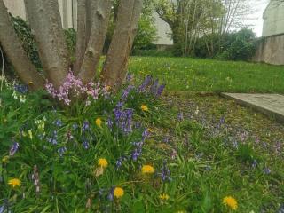 Top Bothy, town centre accommodation sleeps 2 - Stornoway - 5