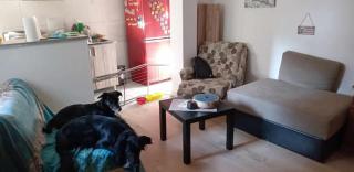 Minimalistic Zone - Novi Sad - 4