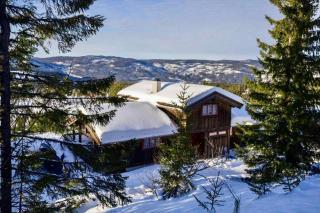 Large cabin at Nesfjellet with lovely view, inddor Jacuzzi & sauna - 0