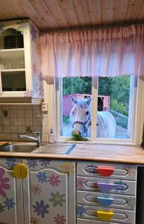 Cozy farmhouse on a visiting farm - - 0