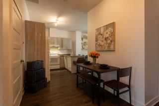 Large Suite in Downtown Montreal - Montréal - 6