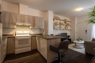 Large Suite in Downtown Montreal - Montréal - 5