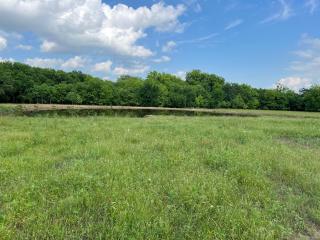 Massey Ranch - - 9