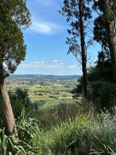 Villa Monteleone - Montefalcone - 6
