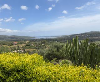 Oasi di pace Villa Cugnana - Olbia - 9