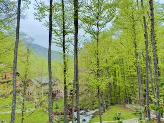 Villa in Brezovica - Brezovica - 9