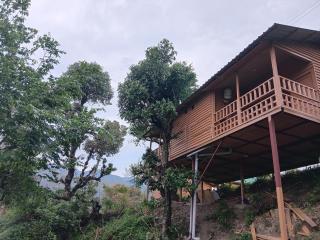 Golden valley cottages, Chail - Chail - 9