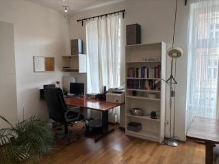 Grün, ruhig und zentral, großes Apartment mit Grünblick - Vienne - 5