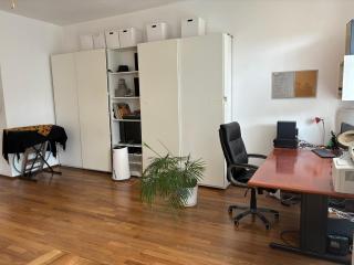Grün, ruhig und zentral, großes Apartment mit Grünblick - Vienne - 4