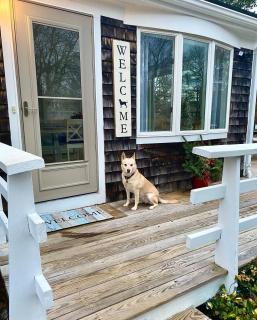 Pet Friendly Cape Cod home near beaches & golf! - Falmouth - 7