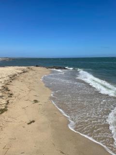 Pet Friendly Cape Cod home near beaches & golf! - Falmouth - 6