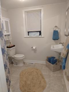 Historic 2BR • Walk to Dining • Porch Yard - Cary - 3