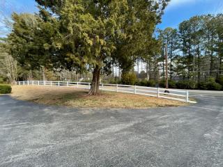 Charming 4BR Historic Home with Scenic Views - Apex - 3