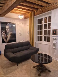 Meublé de caractère La jeune fille à la perle - Le Puy en Velay - 9
