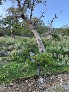 Apartmani Stone oasis - 7