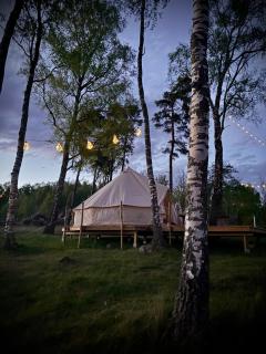 Glamping med alpackor - Laholm - 0