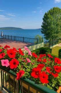 Scarlet Flower - Lago Maggiore - Meina - 4