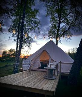 Glamping med alpackor - Laholm - 7
