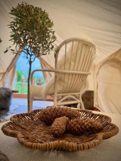 Glamping med alpackor - Laholm - 1