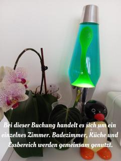 Central Retreat - Romanshorn - 3