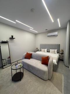 Self entry Modern Studio - Riyadh - 0