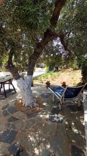 Anissa Tiny Garden Loft - Anissaras - 7