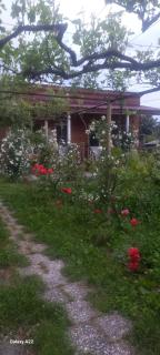 Cottage and Gigo Papa's Wine Cellar - Qwareli - 0