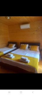 Cottage and Gigo Papa's Wine Cellar - Qwareli - 9