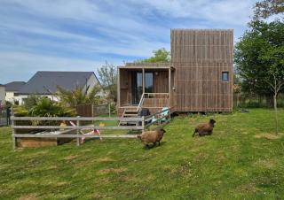 Agréable Tiny house à la campagne - - 5