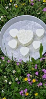 Bujtina Mark Alia - 7