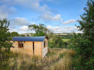 Woodpecker Hill - Shepherds Hut Alfriston - Alfriston - 0