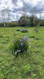 Villa Talìa - casa accogliente, immersa nel verde - 8