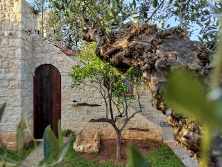 George's Houses - Riglia - 7