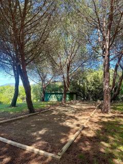 Cozy studio in Saint-Florent - La Celle-sous-Gouzon - 9