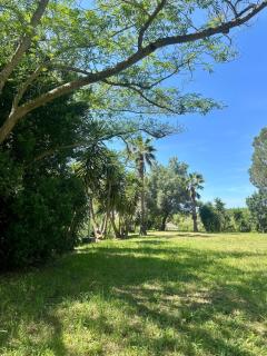 Cozy studio in Saint-Florent - La Celle-sous-Gouzon - 7