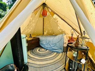 Casita Orquidea - Resolution - 3