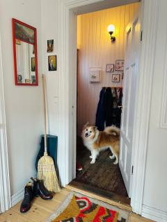 Cosy house in the heart of Downtown Reykjavik - Birta Rentals - Reykjavik - 7