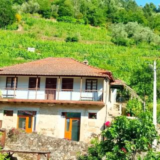 D. Maria São Pedro de Balsemão - Lamego - 0