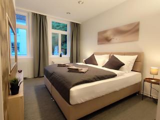 ApartZ - Celle Altstadt - bis 9 Personen, 3 SZ, Infrarotsauna, Parkplatz, W-LAN, Dachterrasse - Celle - 9
